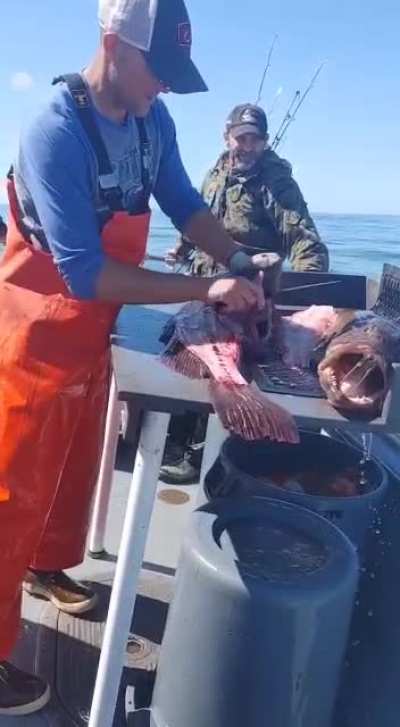 Maybe Maybe Maybe