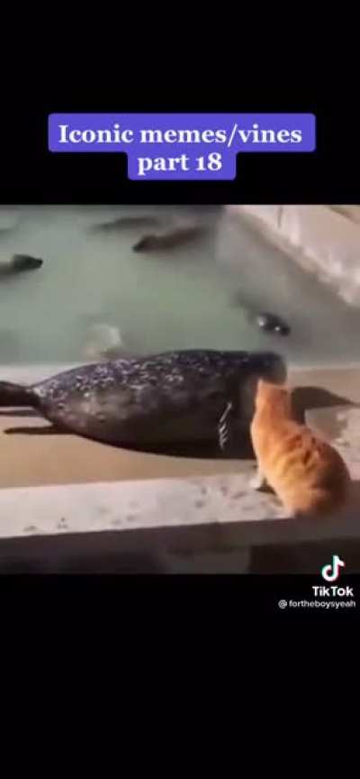 Don&rsquo;t talk back to me