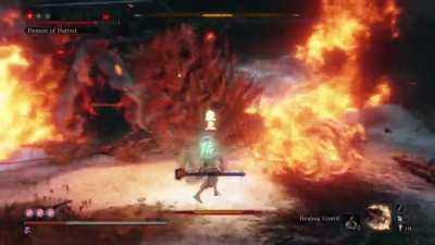 Sekiro: Shadows Can Twice