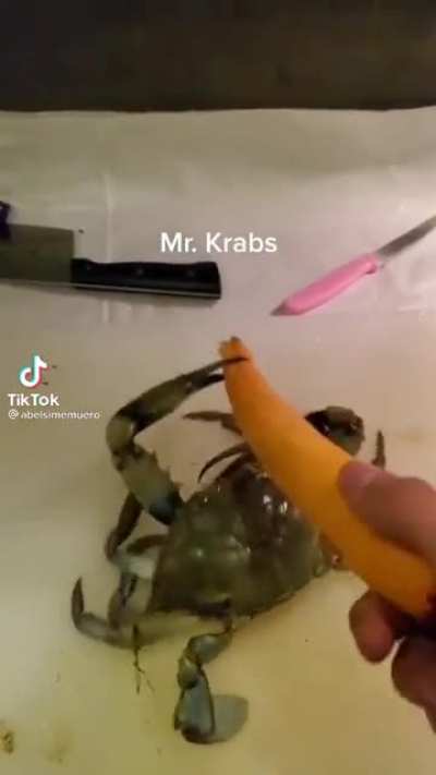 jasdks