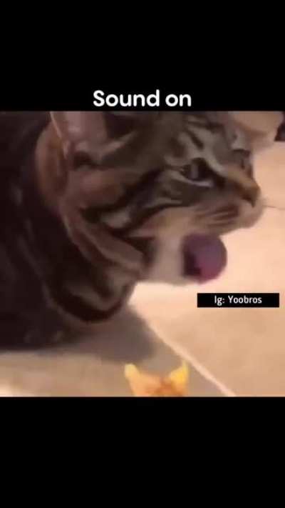😂😂😂😂😂