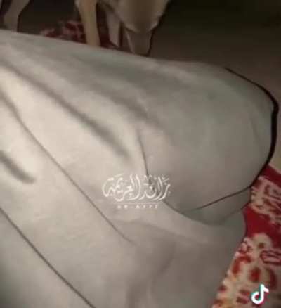 Imagine getting woken up by a pack of wolves in the Middle of the dessert