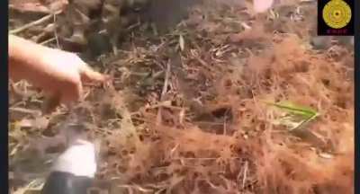 Fighting between KNDF and Myanmar Army somewhere in Kayar State (February or March 2024)