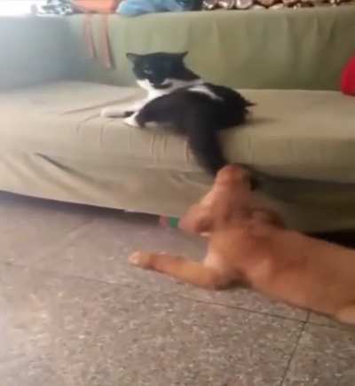 Not sure who&lsquo;s the bigger jerk here