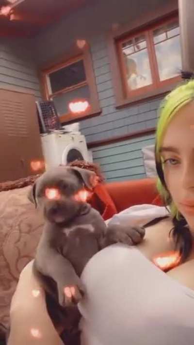 Lucky dog