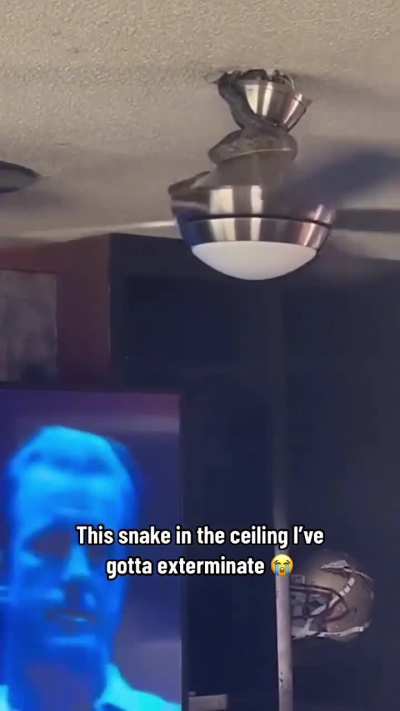 He didn't die of snake bite, he died of heart attack