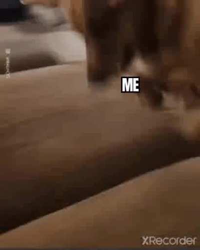 Get back here