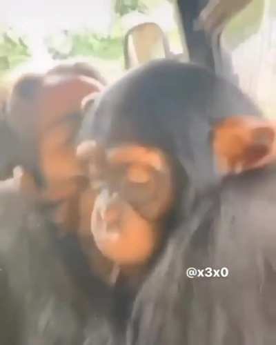 yo cuando me tomo las pastillas