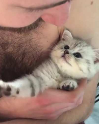 Awww... Her Meow!