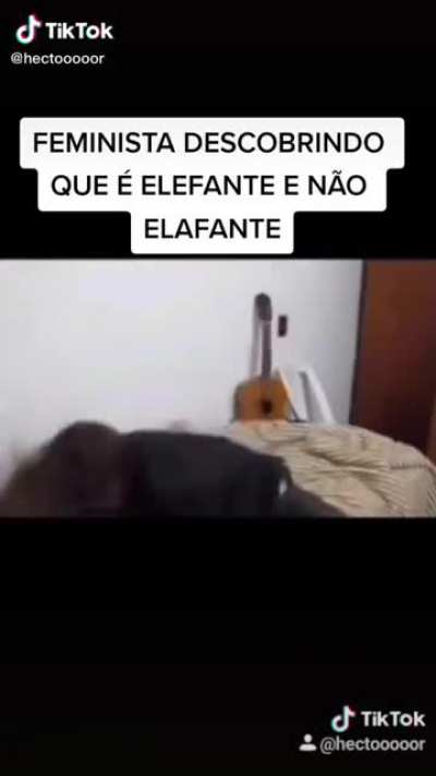 Ta n&eacute;?