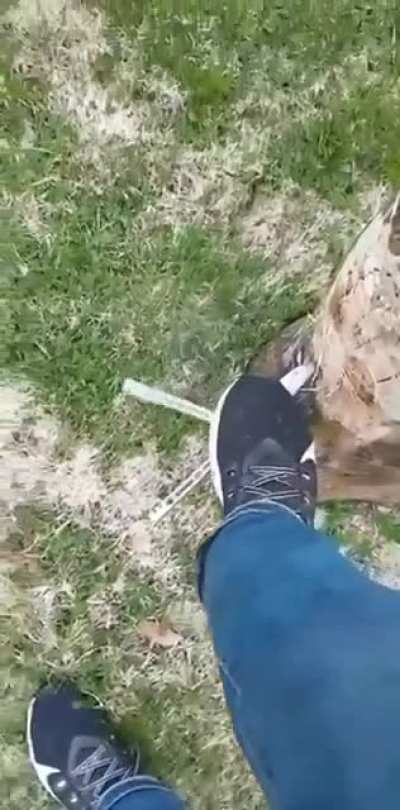 this hurt my soul to watch... but it was funny