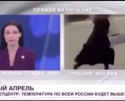 A dog in russia grabbed a reporter&rsquo;s microphone and ran away during a live broadcast
