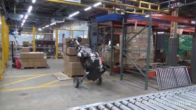 Boston Dynamics "Handle" - a warehouse robot.