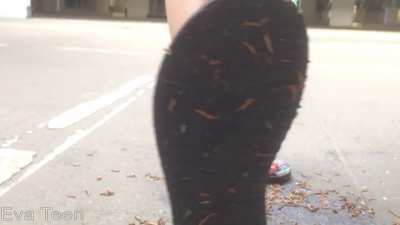 Flip Flops Vs Worms