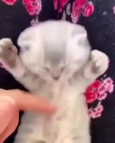 Eepy wunkus