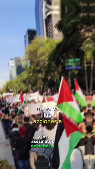 &iquest;Qu&eacute; piensan los mexicanos sobre esto? 🇮🇱 O 🇵🇸??