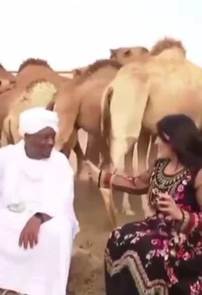 Didn&rsquo;t know camels could be assholes