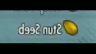 seed is stored in the nuts