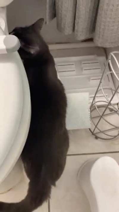 Using tissue properly