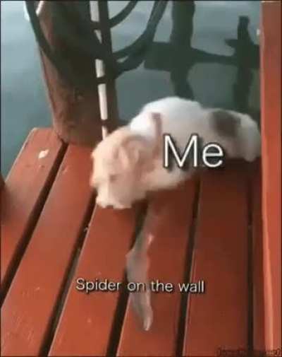 Don&rsquo;t move, don&rsquo;t move..oh sh*t