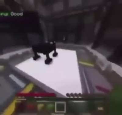 xd