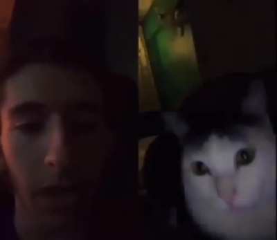 woah he intenet