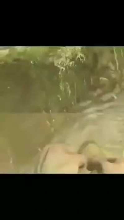 ain