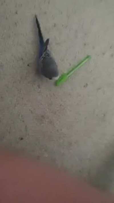 He stole my pen and won't let me have it back :(