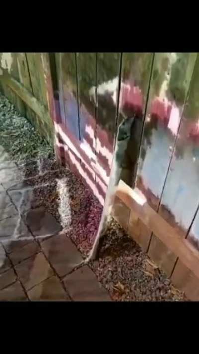 What you see