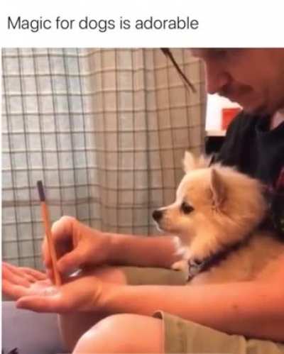 woof irl