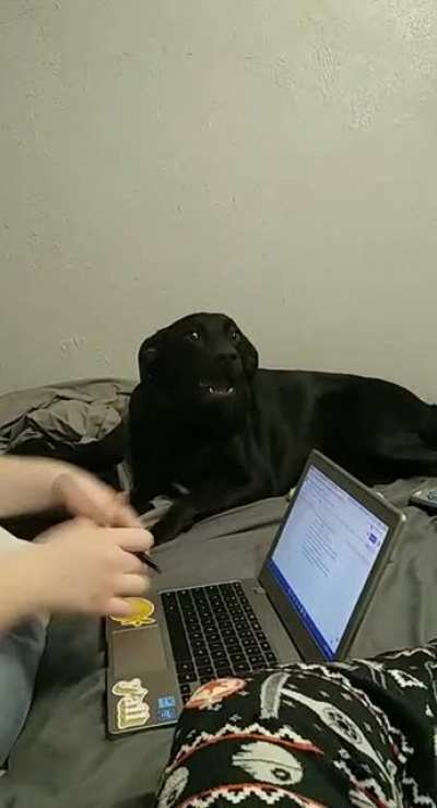 Perfectly cut woof
