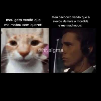 Sim, apenas.