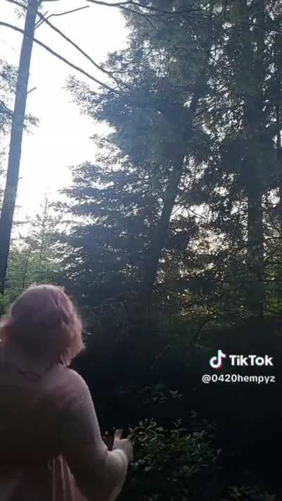 Cringe tik tok guy