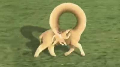 Hmm