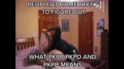 My contribution for Meme Monday, hopefully this doesn&rsquo;t get taken down lol