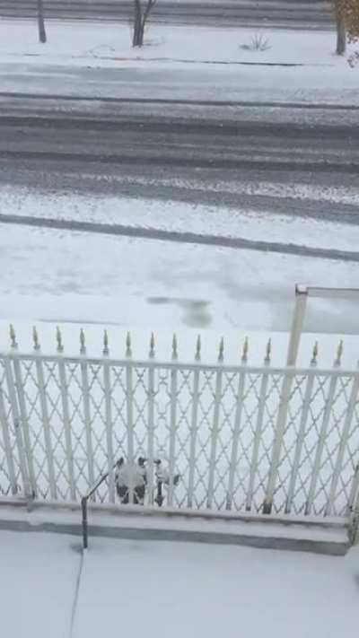 La ma&ntilde;ana del Domingo 14 de Febrero de 2021 en Cd. Ju&aacute;rez.