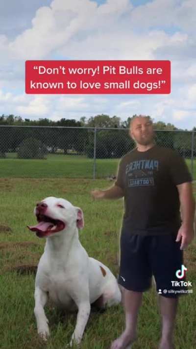 Pit Bulls Don&rsquo;t Belong At Dog Parks!