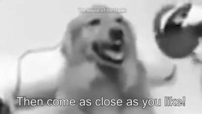 Jocachoro