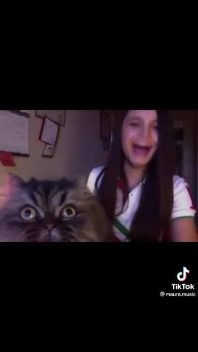 Opera Cat