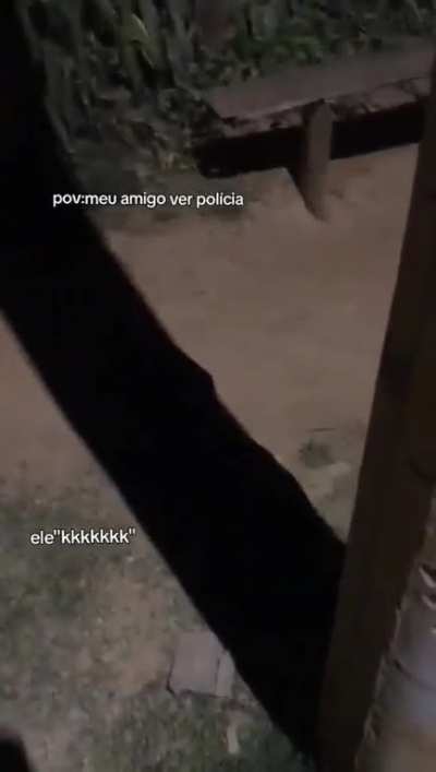 BeelcitosMemes - Video #5522