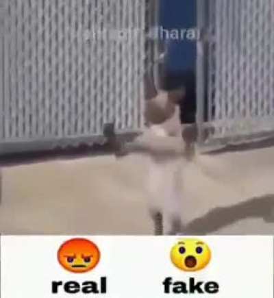 Real o fake?