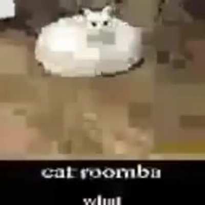 oh fuck oh shit