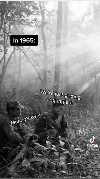 if you think about it USA lost to Vietnam literally because of the"jg diff"