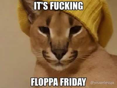 Floppa Friday for the New Year