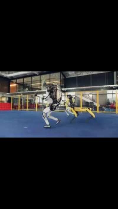 Yerli milli ve angaralı robotlarımız