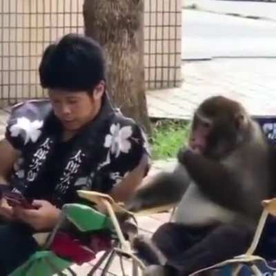 Secret monkey
