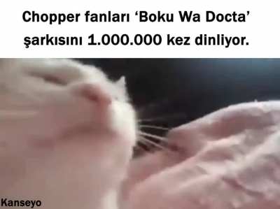 One Piece Topluluk &Ouml;zeti