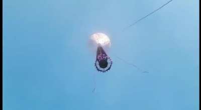 D: