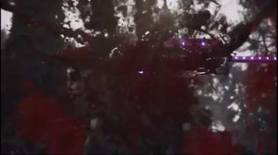 Sektor fatality!