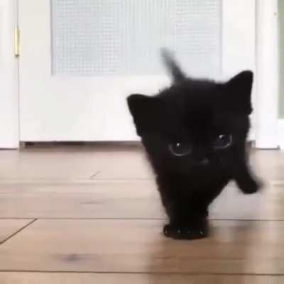 Tiny shadow
